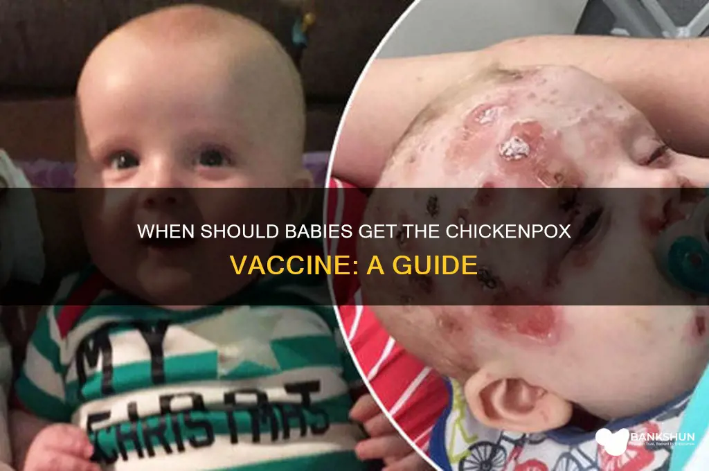 what age do babies have chickenpox vaccine