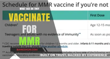 MMR Vaccination Age: When Should Your Child Get the Shot?