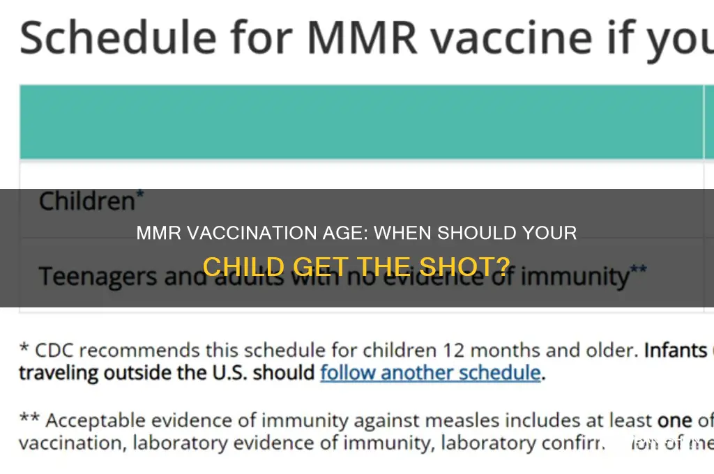 what age do they vaccinate for mmr