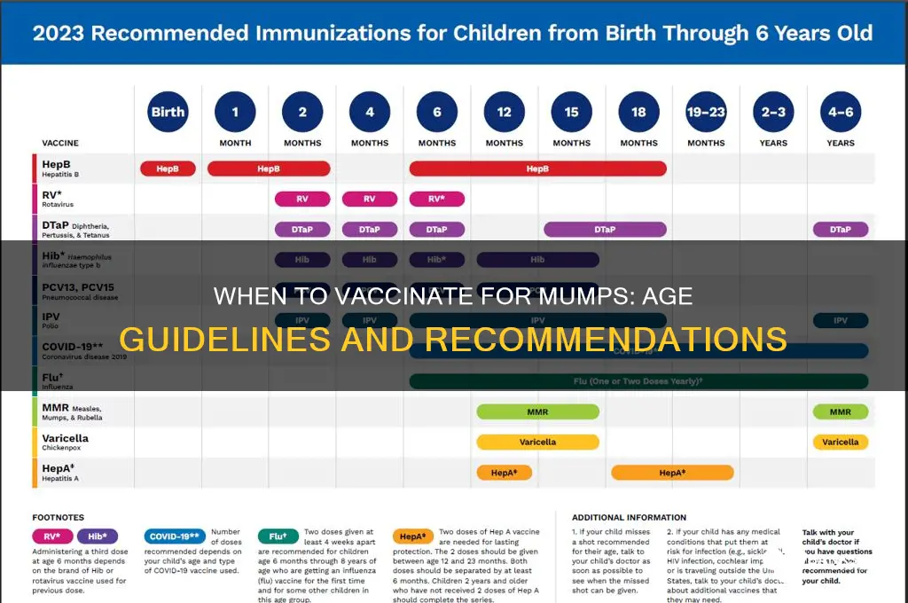 what age do you vaccinate for mumps