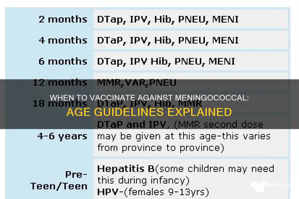 what age do you vaccinate meningococcal vaccine