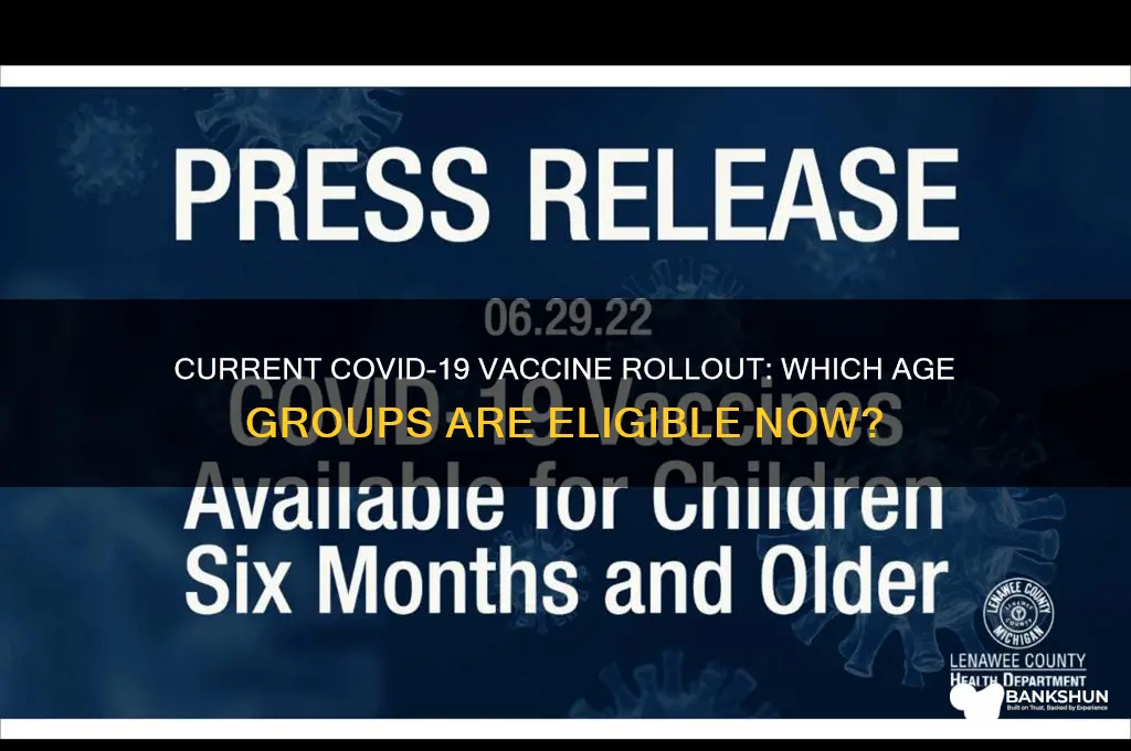 what age group are currently being vaccinated