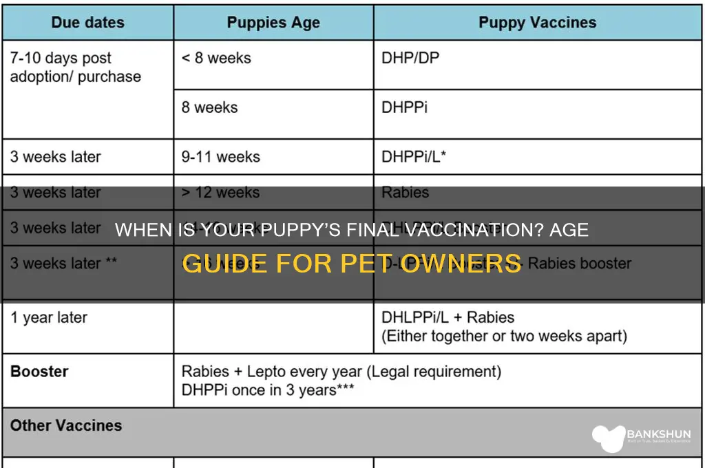 what age is a puppies last vaccination