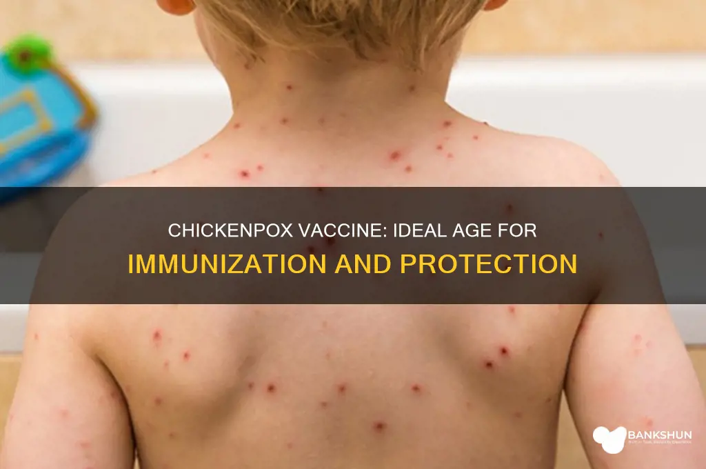 what age is the chicken pox vaccine
