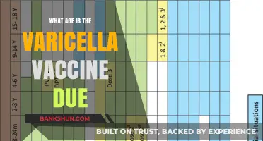 Varicella Vaccine Schedule: When Should Your Child Get Immunized?