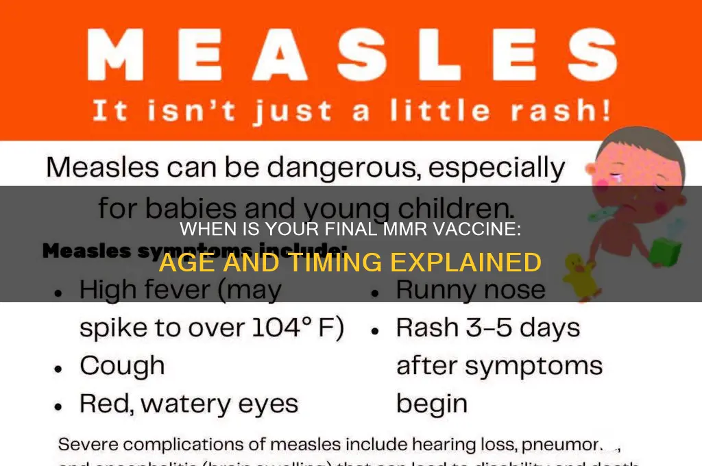 what age is your last mmr vaccine