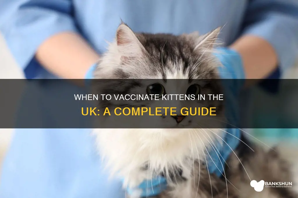 what age should kittens be vaccinated uk