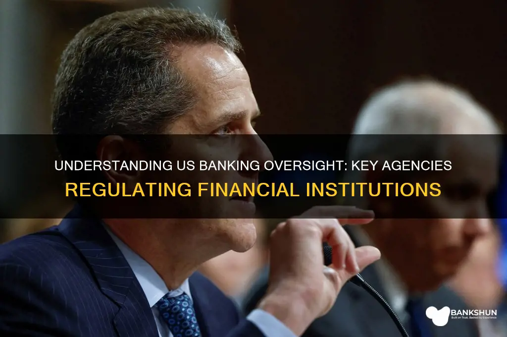 what agency are banks under in us