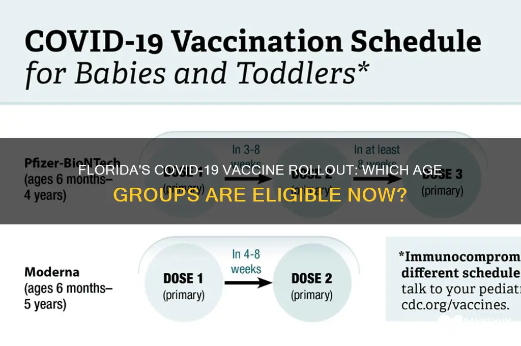 what ages are being vaccinated in florida