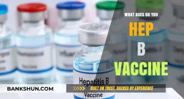 Hepatitis B Vaccination: Understanding the Recommended Age Groups
