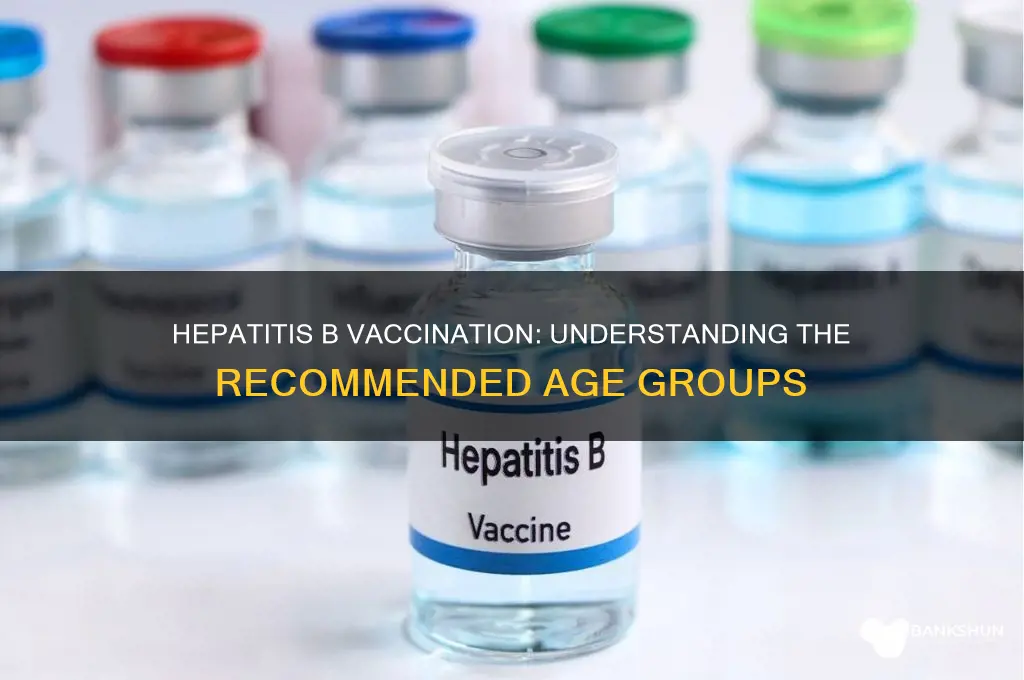 what ages do you hep b vaccine