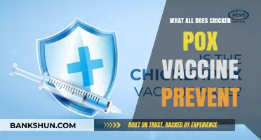 Chickenpox Vaccine: Preventing Complications and Protecting Long-Term Health