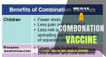 Understanding Combination Vaccines: Ingredients, Benefits, and Common Types