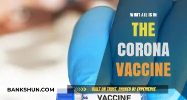 Unveiling the Ingredients: What's Inside the COVID-19 Vaccine?