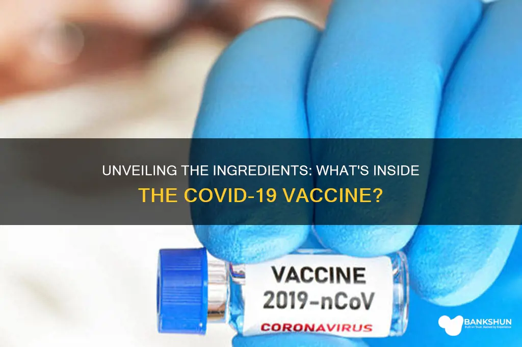what all is in the corona vaccine