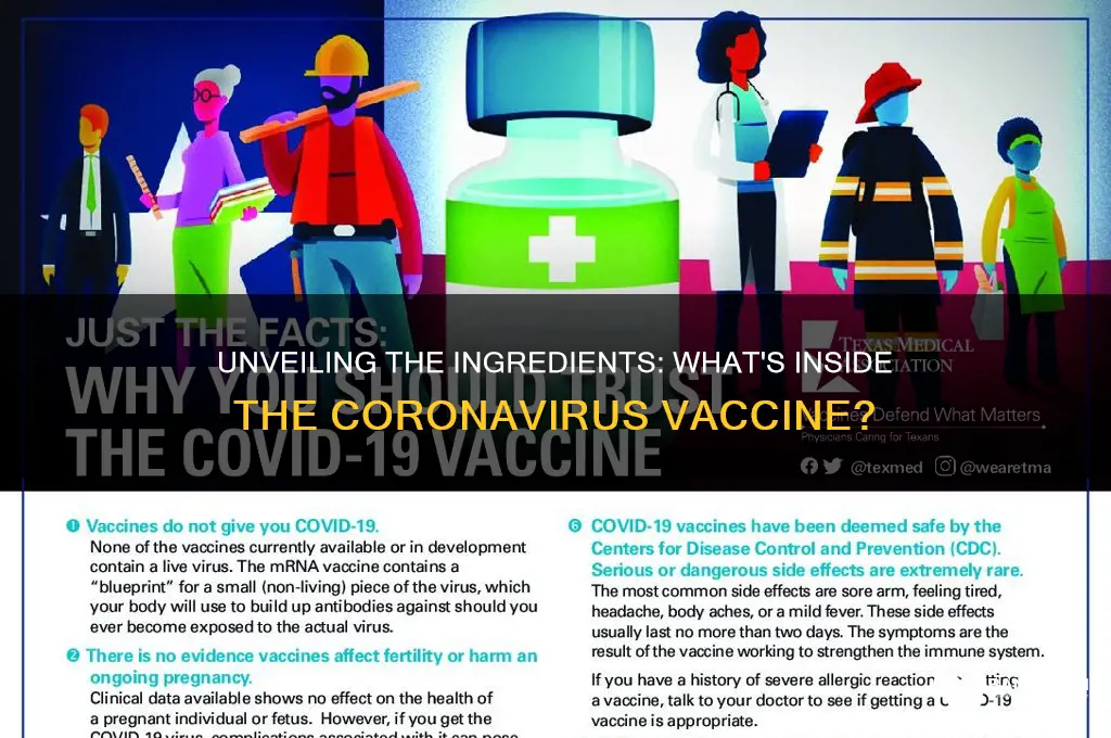 what all is in the coronavirus vaccine