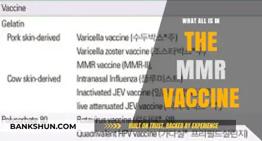 MMR Vaccine Components: Measles, Mumps, Rubella, and Safety Explained