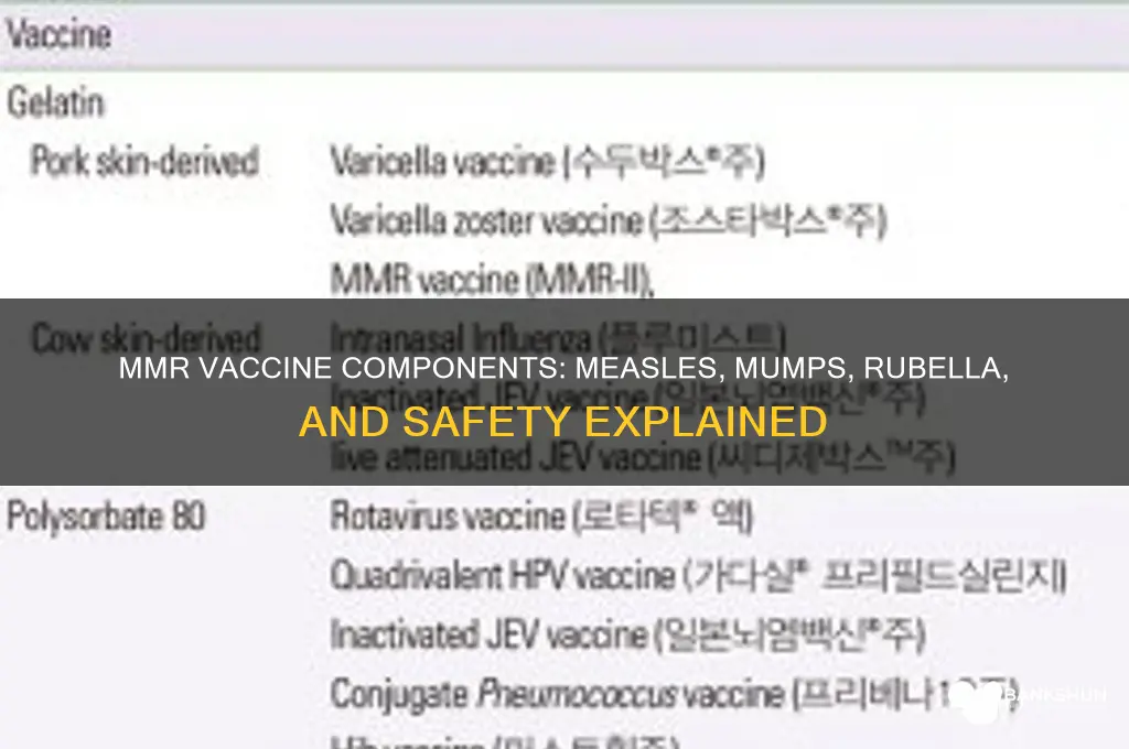 what all is in the mmr vaccine