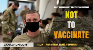 Constitutional Freedom: The Amendment Behind Vaccine Choice Rights