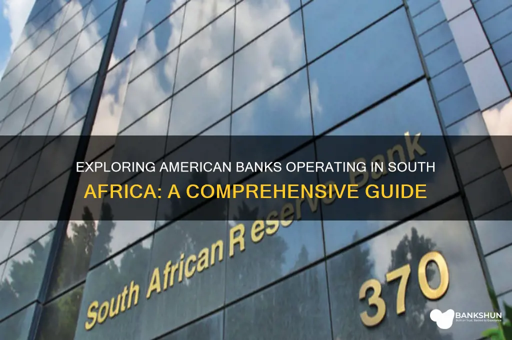 what american banks are in south africa