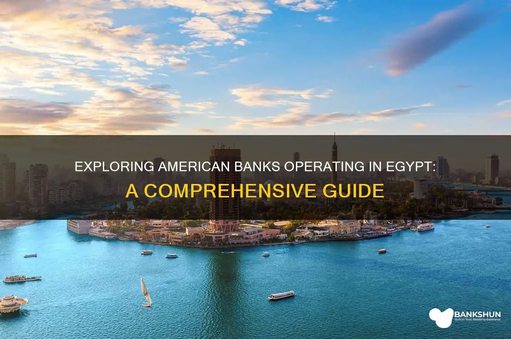 what american banks are there in egypt