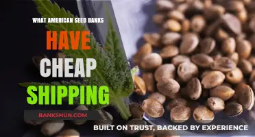 Affordable Shipping: Top American Seed Banks for Budget-Friendly Delivery