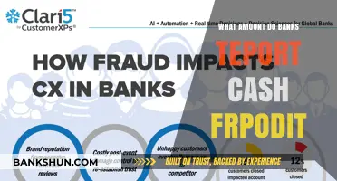 How Much Cash Fraud Do Banks Report Annually?