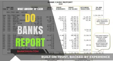 Understanding Bank Cash Reporting Requirements: How Much is Reported?