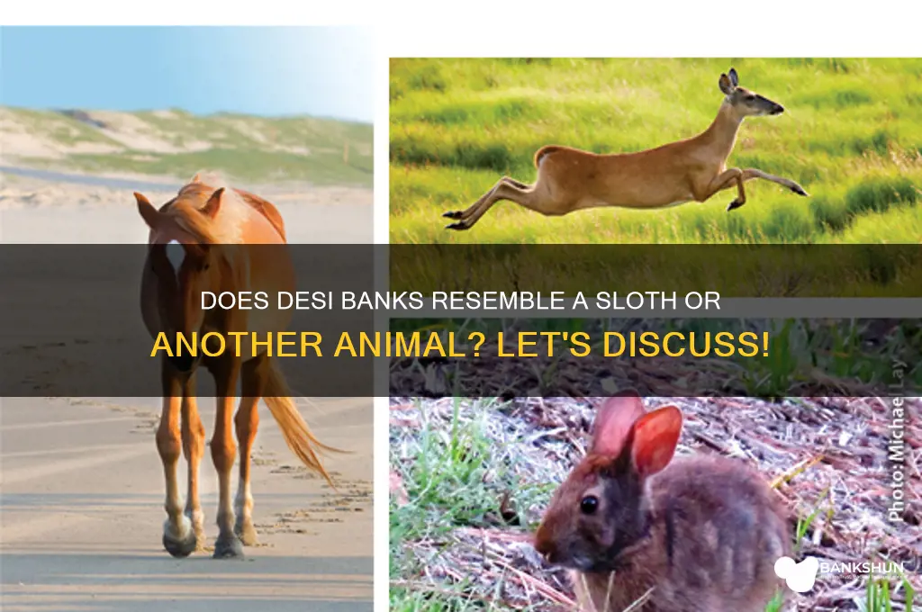 what animal does desi banks look like