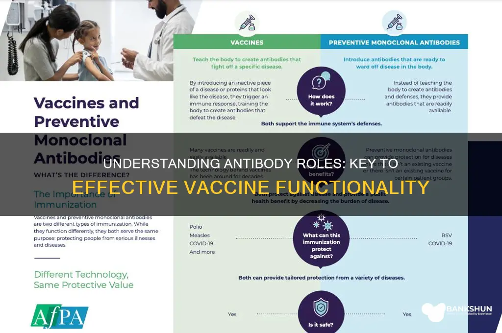 what antibody function is important for vaccine