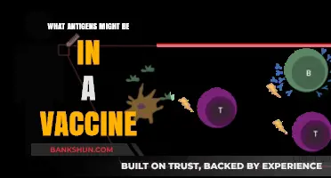 Understanding Vaccine Antigens: Key Components and Their Role in Immunity
