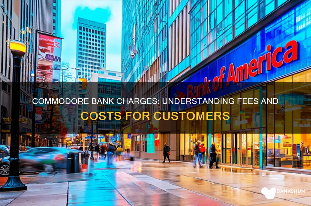what ar ethe charges for commodor bank