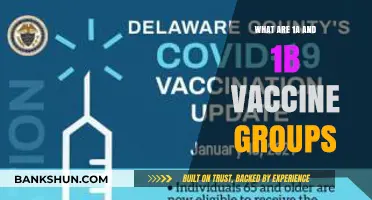 Understanding 1A and 1B Vaccine Groups: A Comprehensive Guide