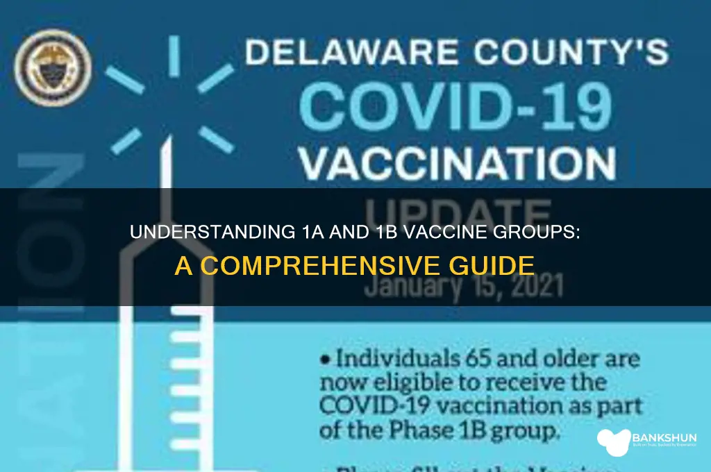 what are 1a and 1b vaccine groups