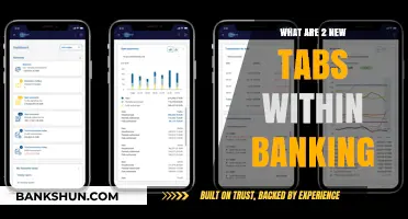 Discover the Latest: Two Innovative Tabs Transforming Modern Banking