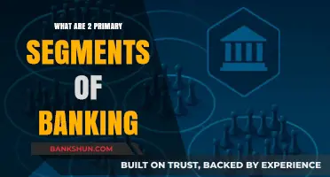 Exploring the Core: Two Primary Segments of Banking Explained