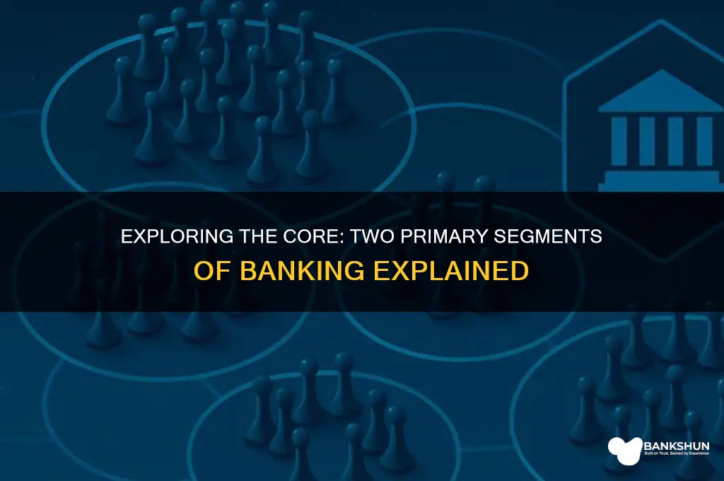 what are 2 primary segments of banking