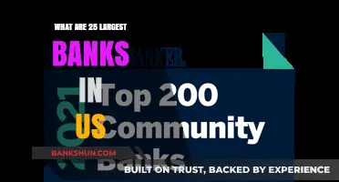 Top US Banks: Unveiling the 25 Largest Financial Institutions in America