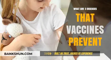 Vaccines Save Lives: Three Deadly Diseases They Prevent Effectively