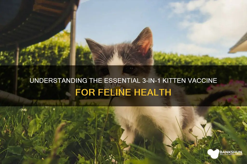 what are 3 in 1 kitten vaccine