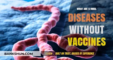 Five Deadly Viral Diseases Still Lacking Effective Vaccines Today