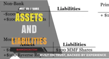 Understanding Bank Assets and Liabilities: A Comprehensive Financial Overview
