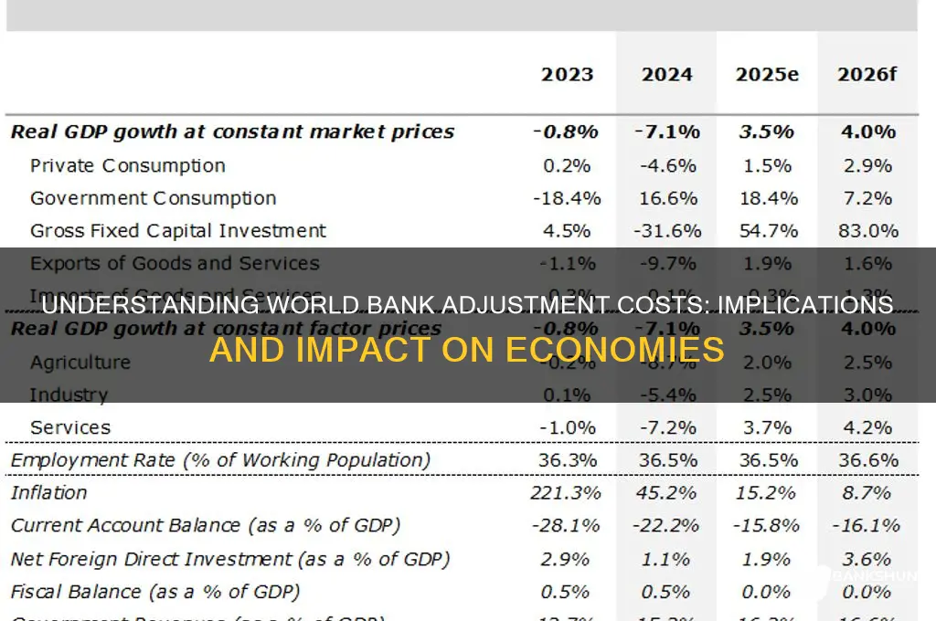 what are adjustment costs for world bank