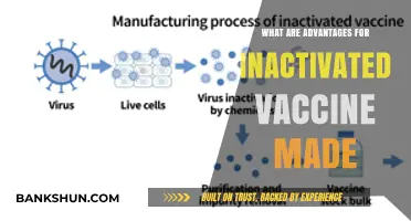 Advantages of Inactivated Vaccines: Safety, Stability, and Long-Lasting Immunity