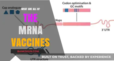 Exploring mRNA Vaccines: Types, Benefits, and How They Work