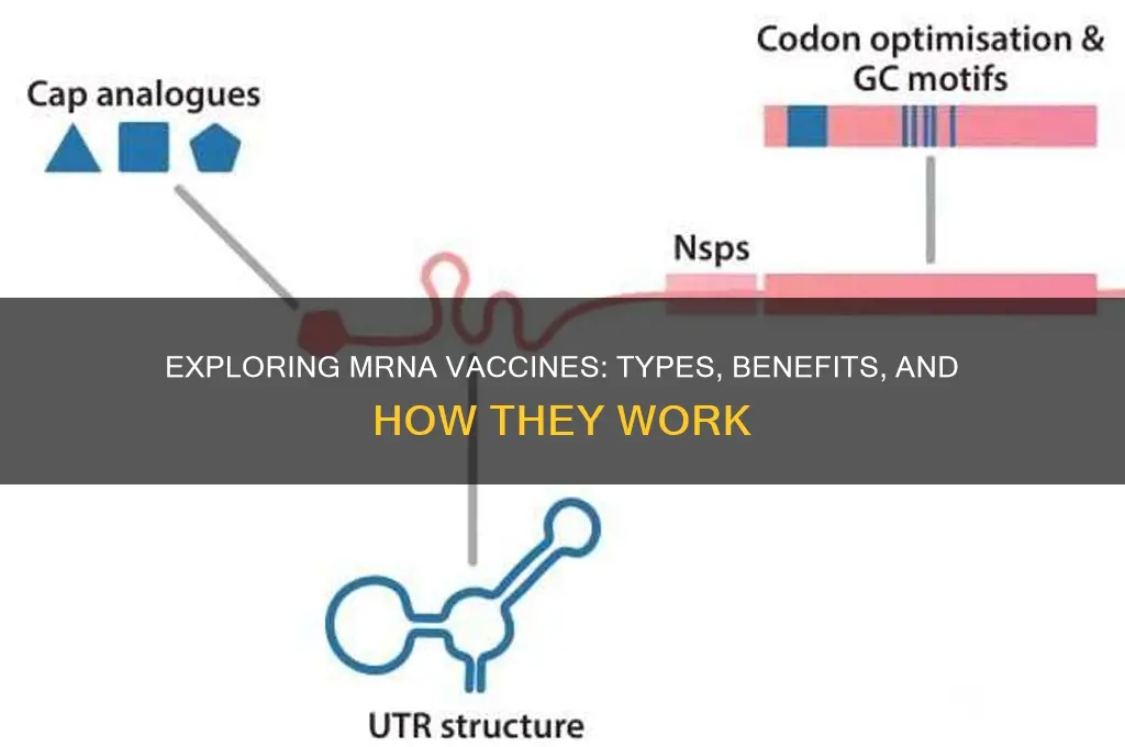 what are all of the mrna vaccines