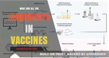 Unveiling Vaccine Ingredients: A Comprehensive Breakdown of Components and Purposes