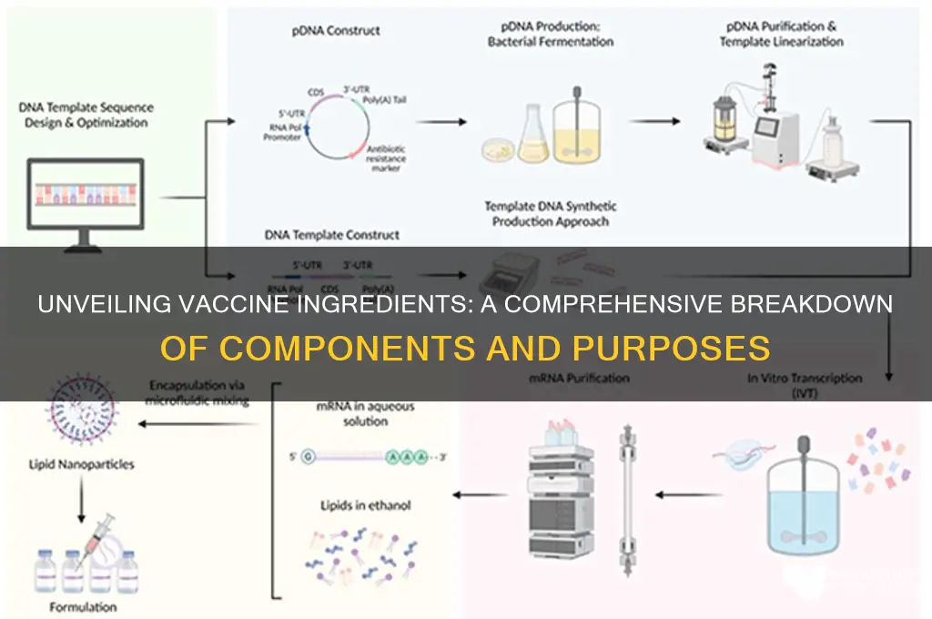what are all the ingredients in vaccines