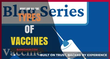 Exploring the Diverse Types of Vaccines and Their Functions