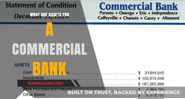 Understanding Commercial Bank Assets: Types, Roles, and Importance Explained